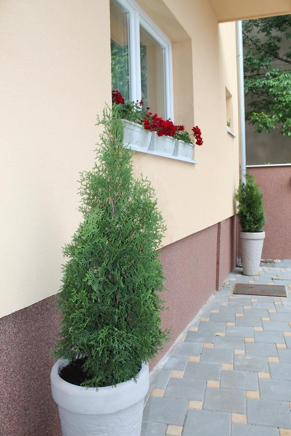 Royal Family Apartamento Ni Exterior foto